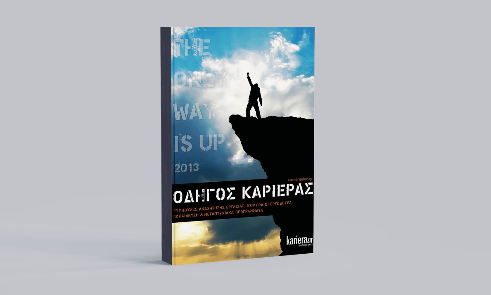 Οδηγός Καριέρας 2013